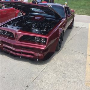 Meet your Posher, Brock